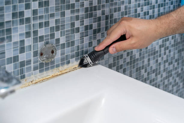 Best Office Mold Removal Services  in Avon By The Sea, NJ